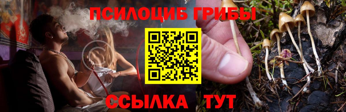 Псилоцибиновые грибы Psilocybine cubensis  Вход с VPN  Видное 